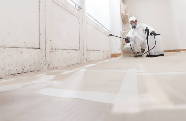 24/7 Emergency Basement Mold Remediation experts in Markleton, PA